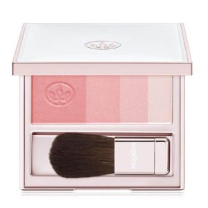 TRANSLUCENT PRESSED POWDER